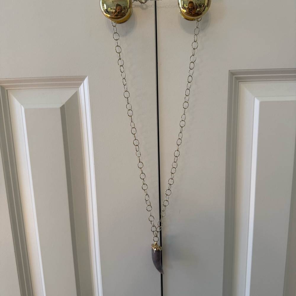 ⭐️ Gold Chain Necklace with Horn Pendant